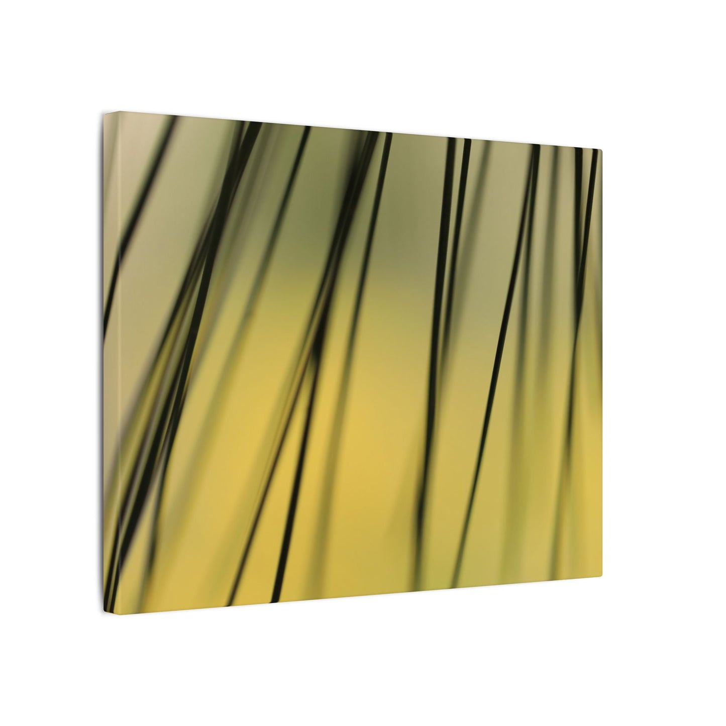 Through the Pine Needles Wall Art Canvas