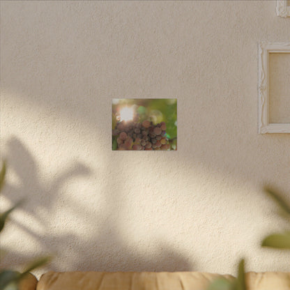 Grape Shine Wall Art Canvas