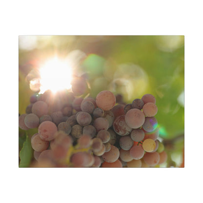 Grape Shine Wall Art Canvas