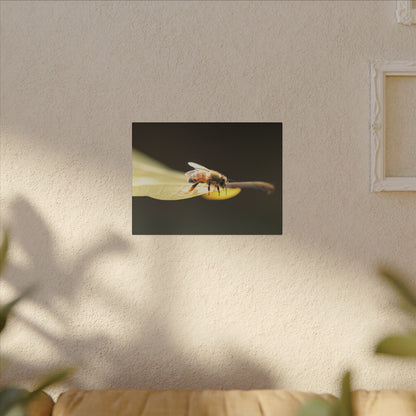 Honey Bee Glow Wall Art Canvas