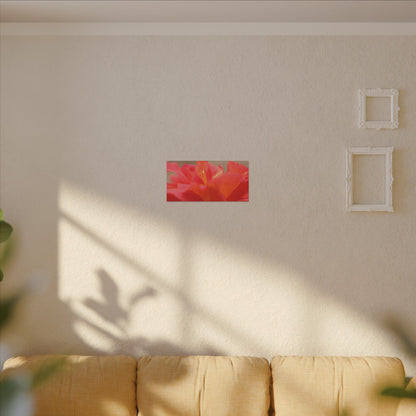Color Bloom Rose Wall Art Canvas
