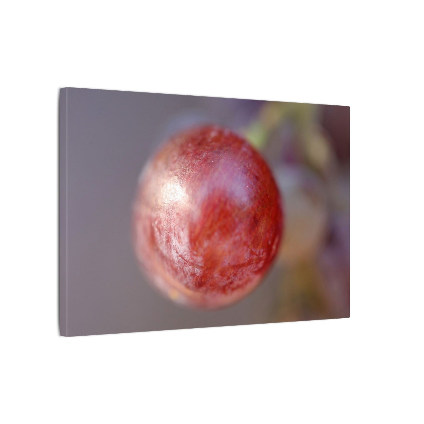 The Grape That Stood Alone Wall Art Canvas