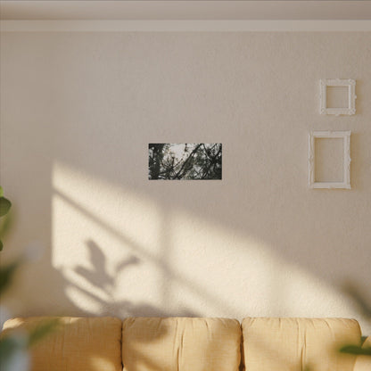 Of The Trees Wall Art Canvas