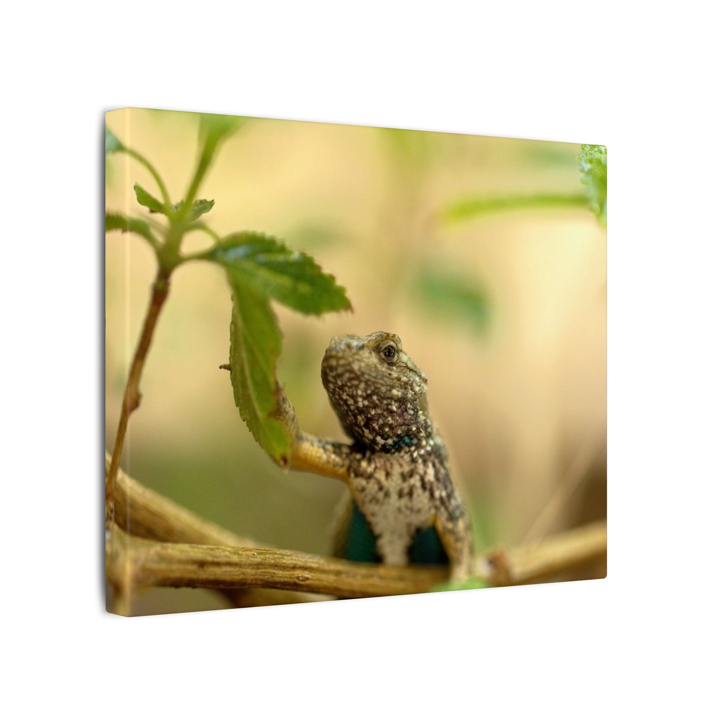 Lizard King Wall Art Canvas