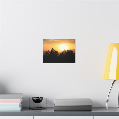 Angeles Forest Wall Art Canvas