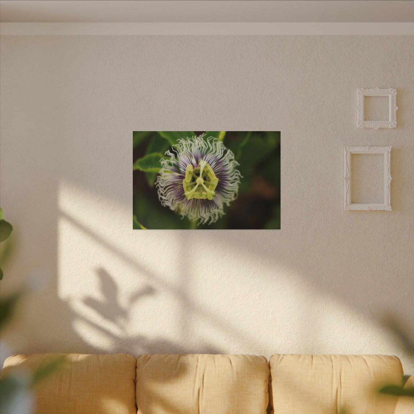 Passiflora Passion Flower Wall Art Canvas