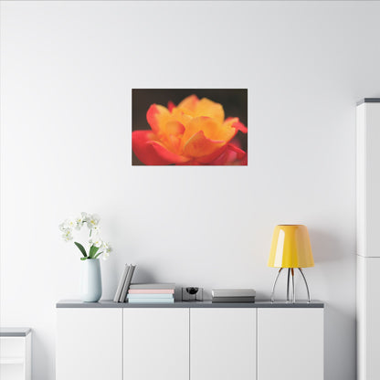 Electric Bloom Wall Art Canvas