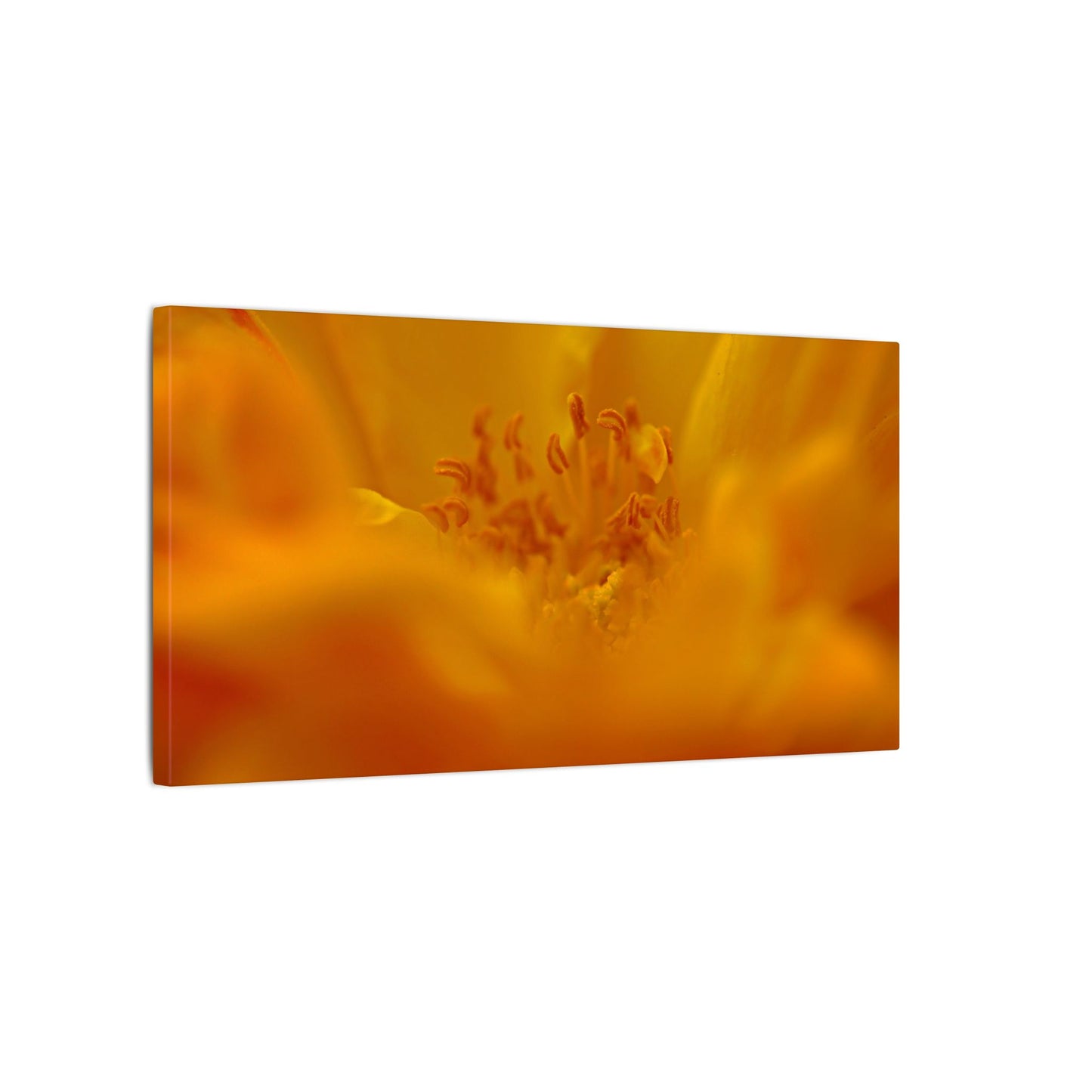 Hidden Gem Rose Wall Art Canvas