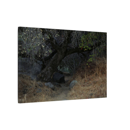 Hidden Path Wall Art Canvas