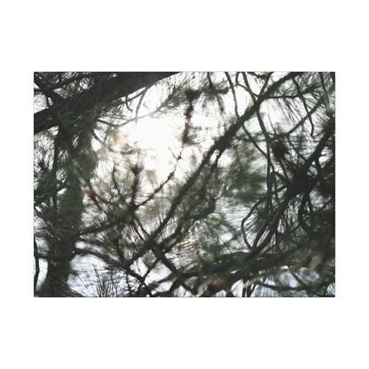 Of The Trees Wall Art Canvas