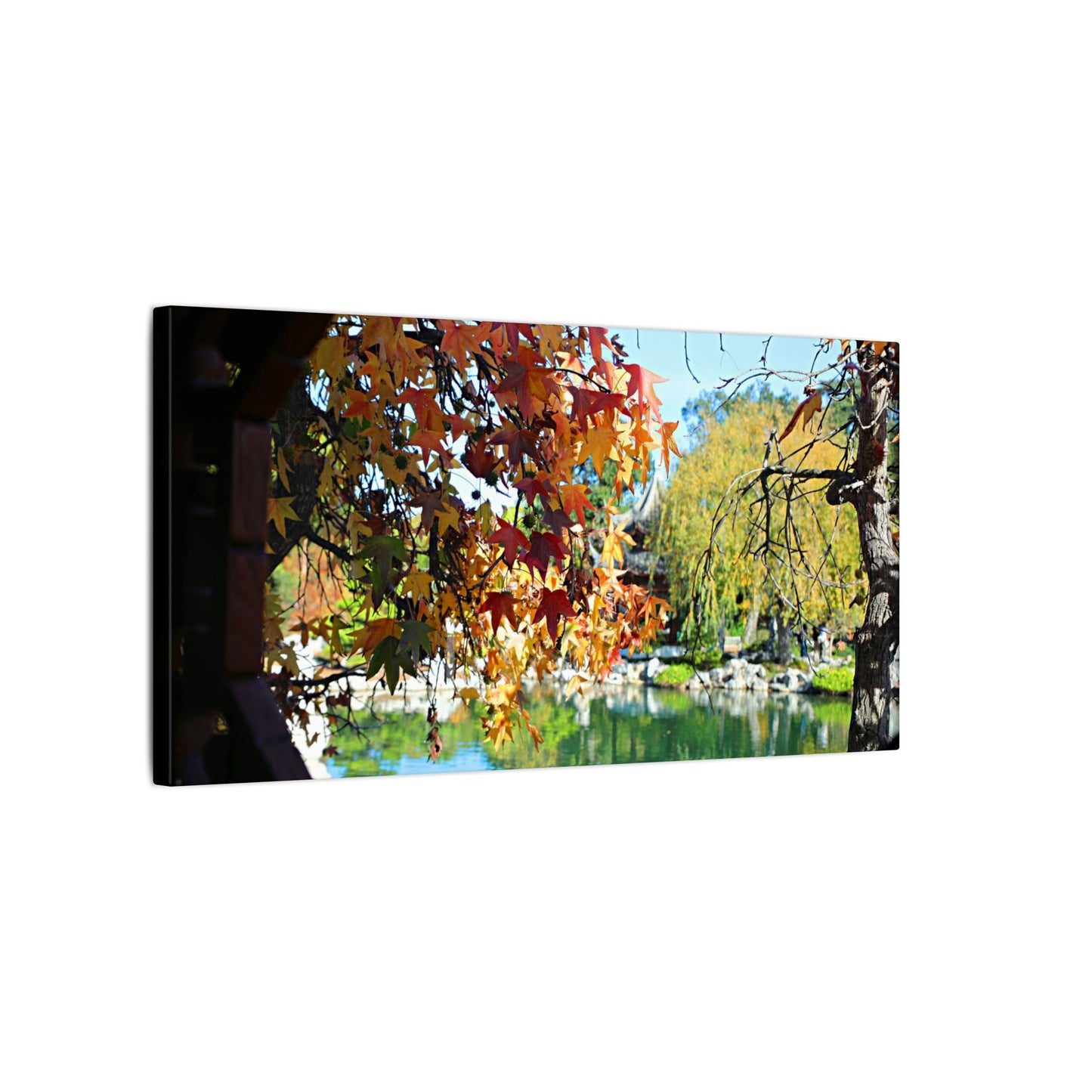 Fall Through the Window Wall Art Canvas