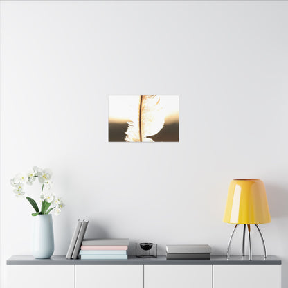 Feather in the Sun Wall Art Canvas