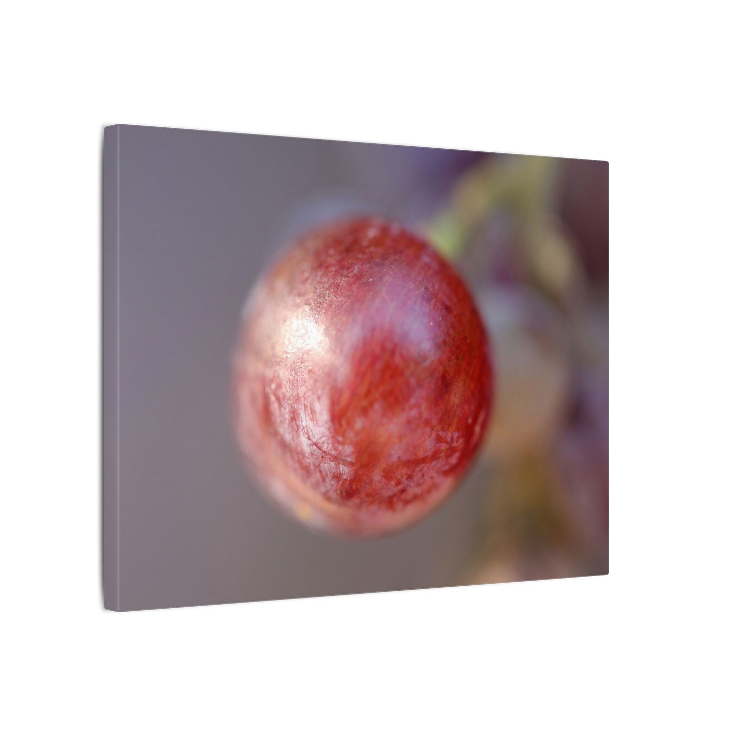 The Grape That Stood Alone Wall Art Canvas