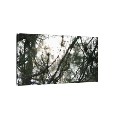 Of The Trees Wall Art Canvas