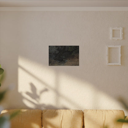 Hidden Path Wall Art Canvas