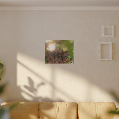 Grape Shine Wall Art Canvas