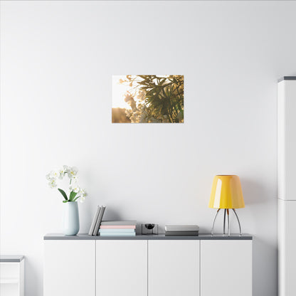 Nerium Oleander Rosebay Wall Art Canvas