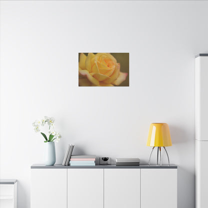 Yellow Delight Rose Wall Art Canvas