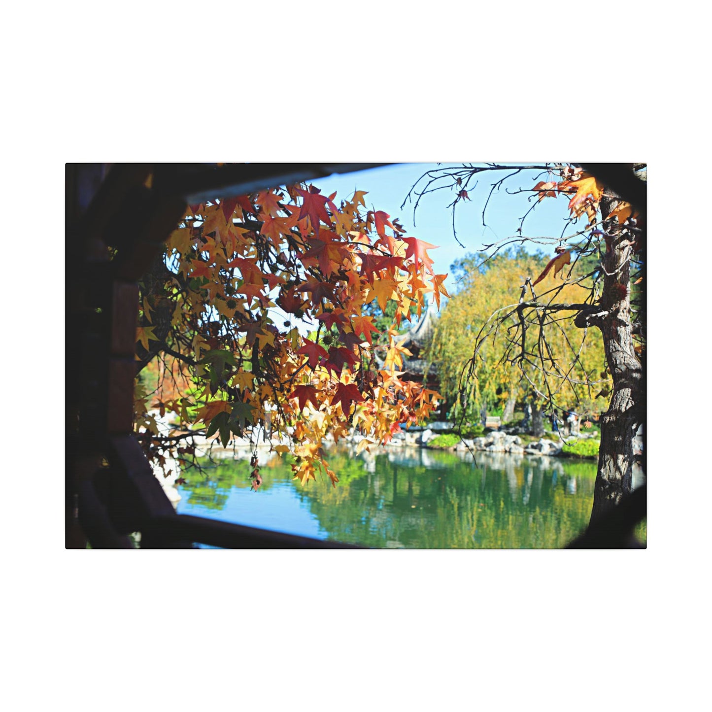 Fall Through the Window Wall Art Canvas