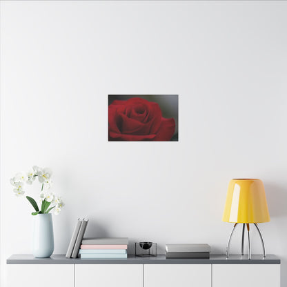 Red Rush Rose Wall Art Canvas