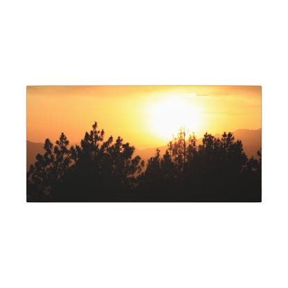 Angeles Forest Wall Art Canvas