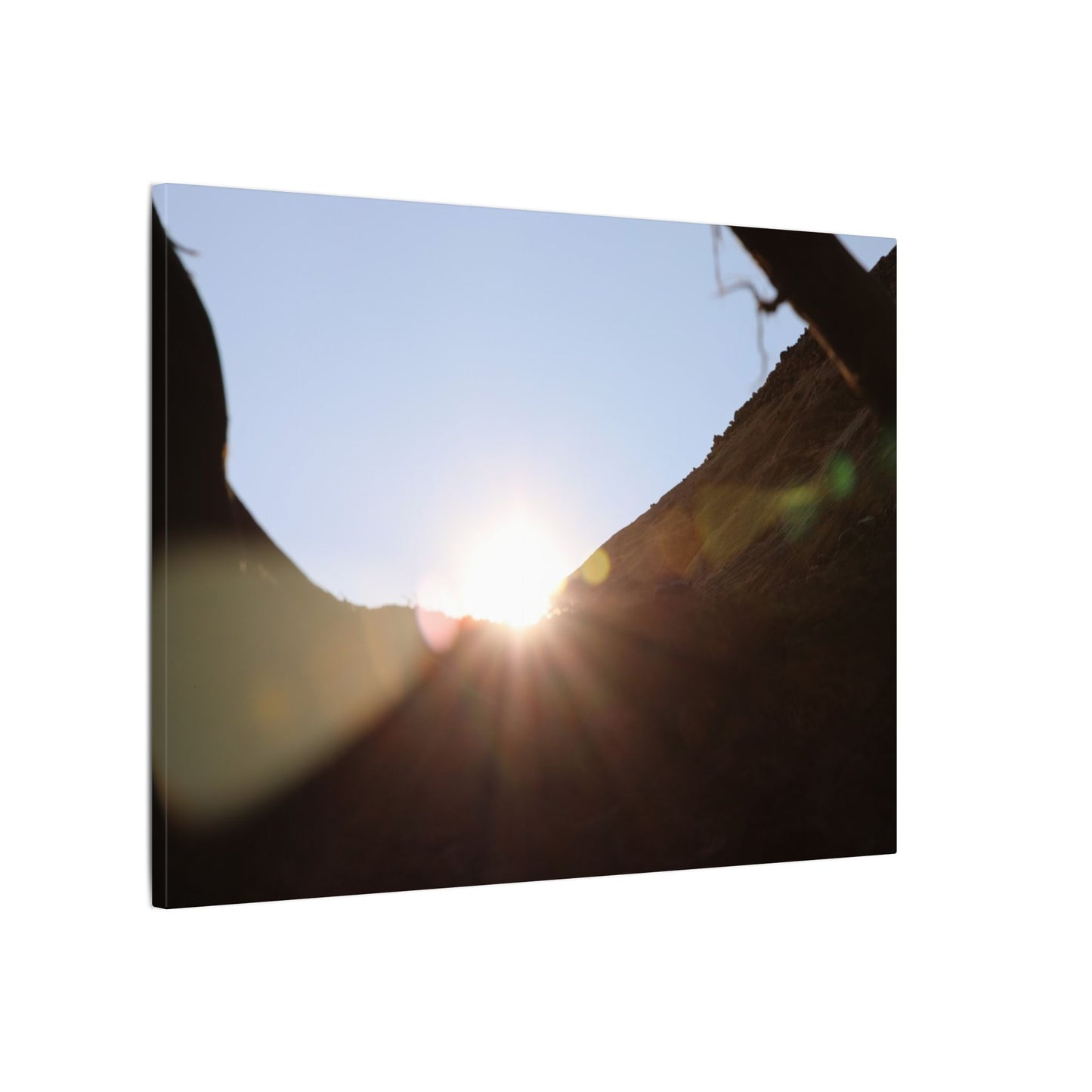 Through the Looking Glass Wall Art Canvas
