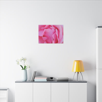 Voluptuous Pink Rose Wall Art Canvas