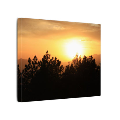 Angeles Forest Wall Art Canvas