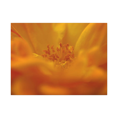 Hidden Gem Rose Wall Art Canvas