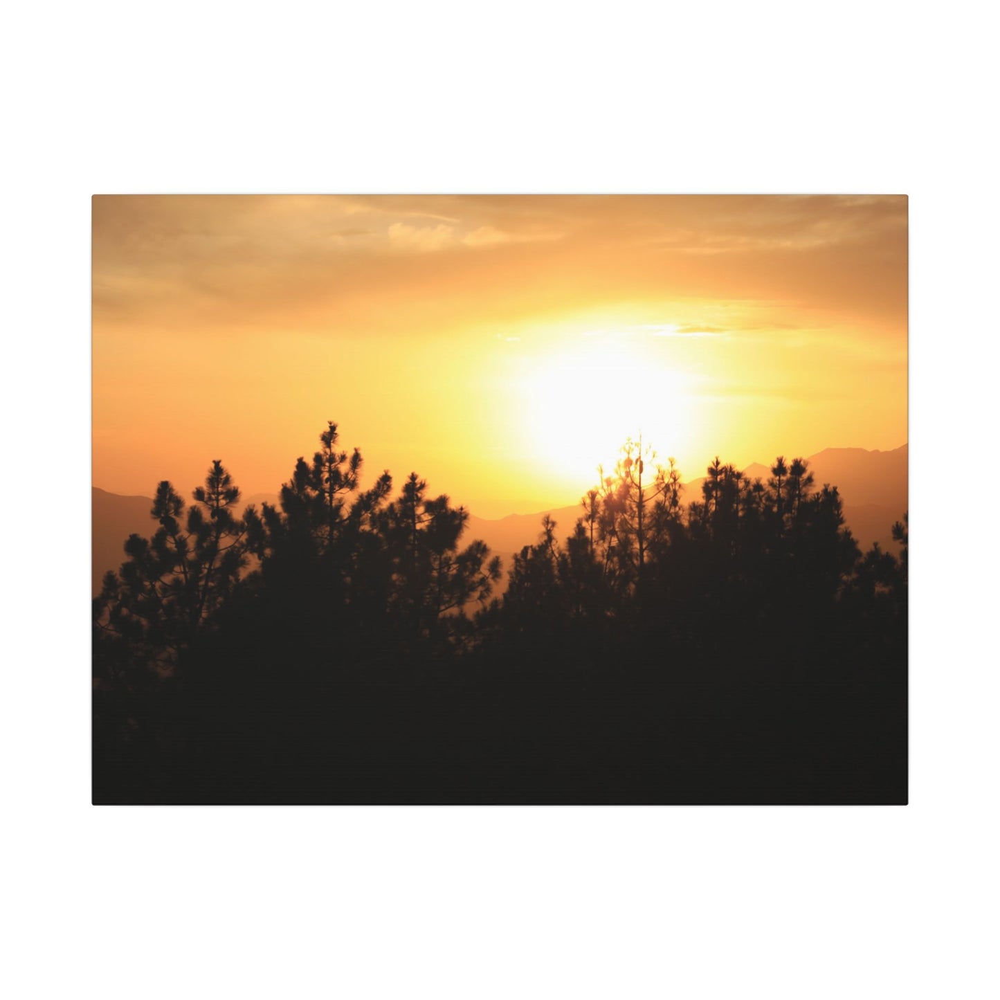 Angeles Forest Wall Art Canvas