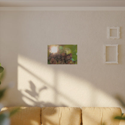 Grape Shine Wall Art Canvas