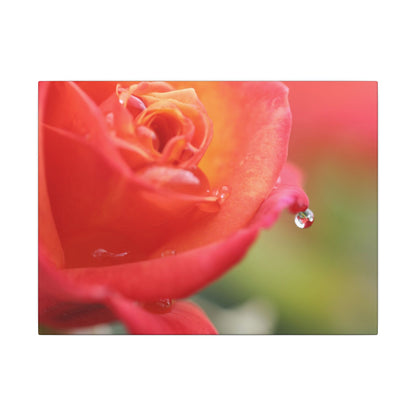 Drip Reflection Rose Wall Art Canvas