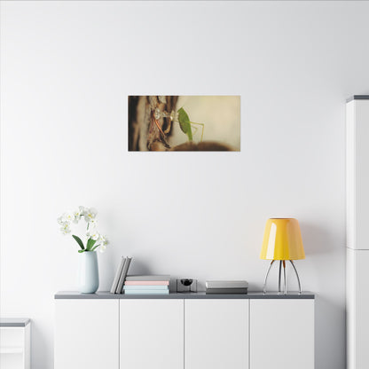 Grasshopper Push It Wall Art Canvas
