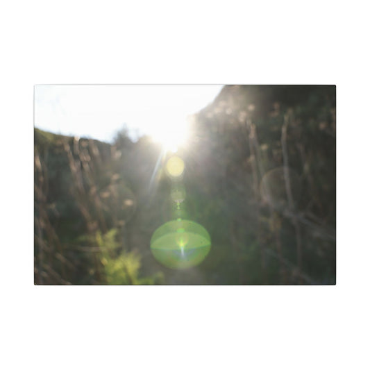 Fractal Flare Sphere Wall Art Canvas