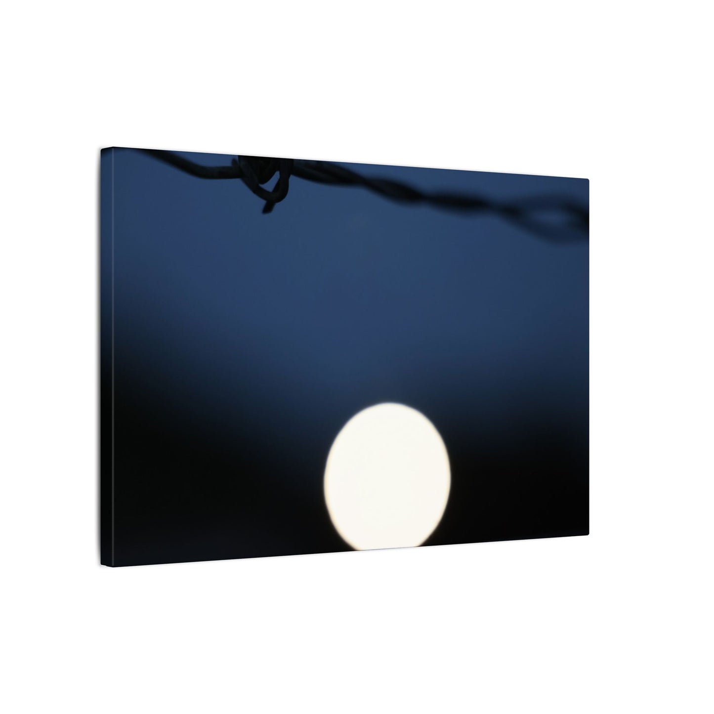 Werewolf Wall Art Canvas