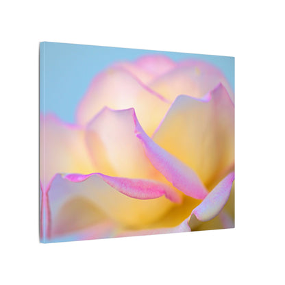 Enchanting Layers Rose Wall Art Canvas