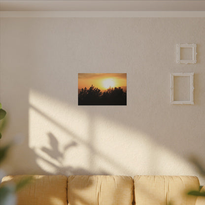 Angeles Forest Wall Art Canvas
