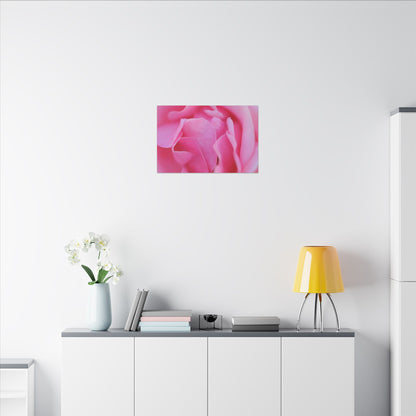 Voluptuous Pink Rose Wall Art Canvas