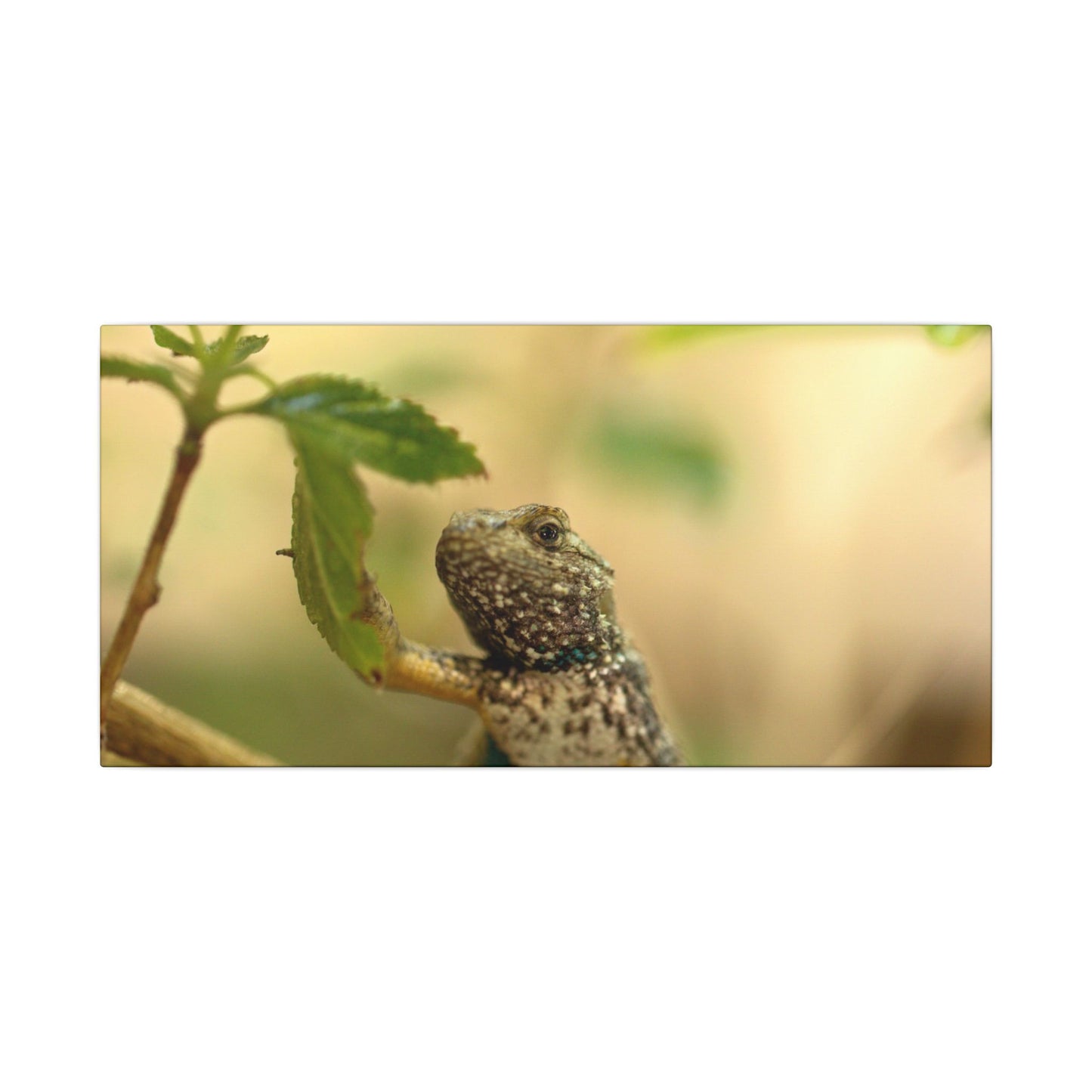 Lizard King Wall Art Canvas