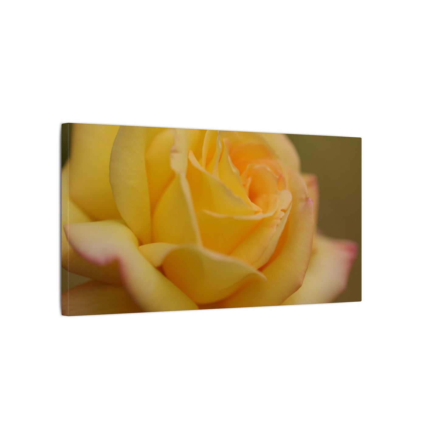 Yellow Delight Rose Wall Art Canvas