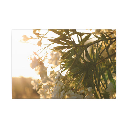 Nerium Oleander Rosebay Wall Art Canvas