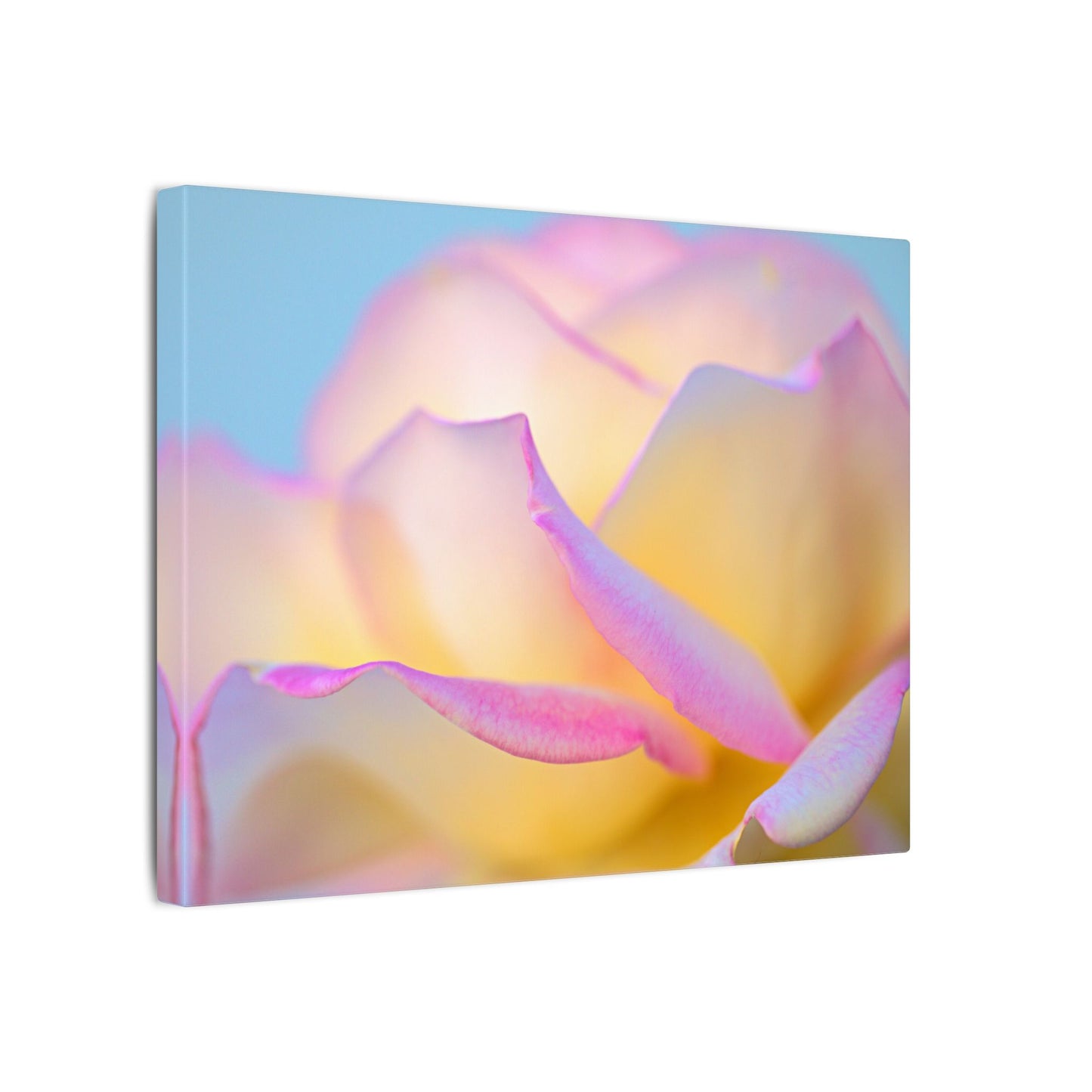 Enchanting Layers Rose Wall Art Canvas