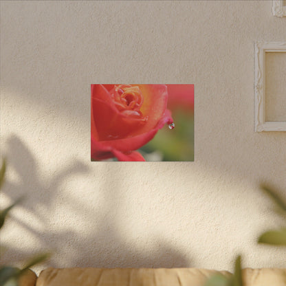 Drip Reflection Rose Wall Art Canvas