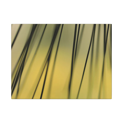 Through the Pine Needles Wall Art Canvas