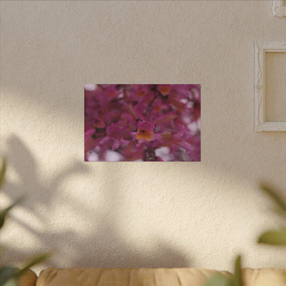 Pink Jacaranda Macro Wall Art Canvas