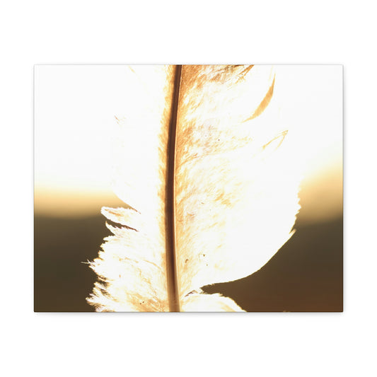 Feather in the Sun Wall Art Canvas