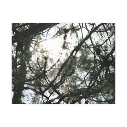Of The Trees Wall Art Canvas