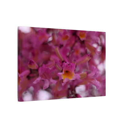 Pink Jacaranda Macro Wall Art Canvas