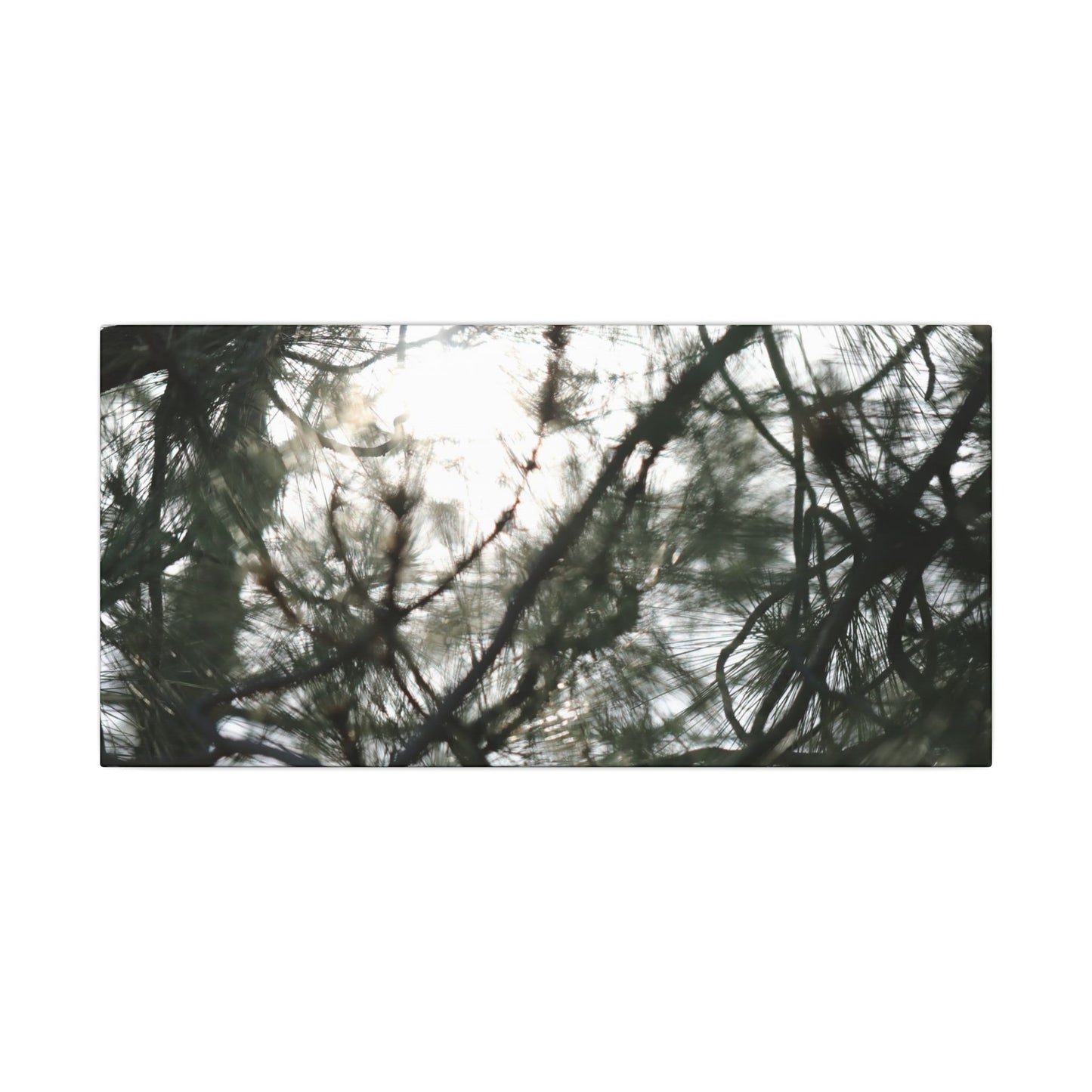 Of The Trees Wall Art Canvas