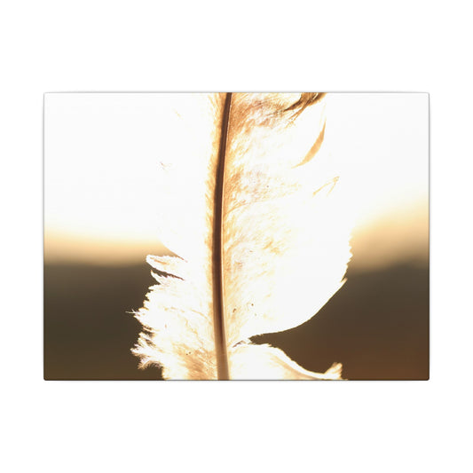 Feather in the Sun Wall Art Canvas